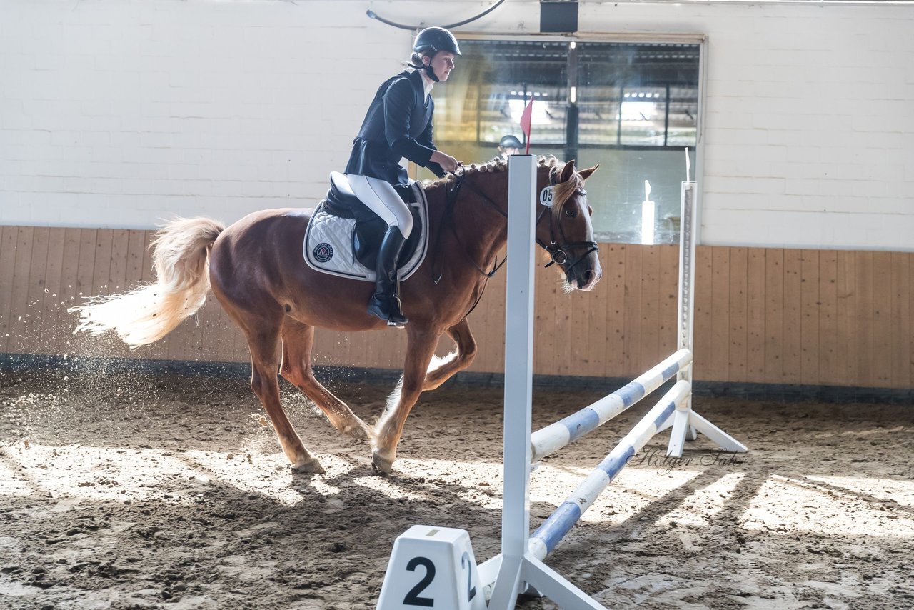 Bild 3 - Pony Akademie Turnier